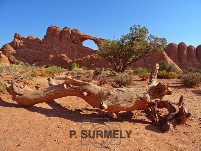 Arches National Park
Mots-clés: Amérique;Amérique du Nord;Etats-Unis;USA;Utah;Arches National Park;parc national