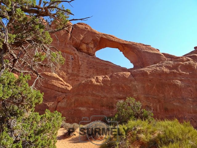 Arches National Park
Mots-clés: Amérique;Amérique du Nord;Etats-Unis;USA;Utah;Arches National Park;parc national