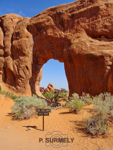 Arches National Park
Mots-clés: Amérique;Amérique du Nord;Etats-Unis;USA;Utah;Arches National Park;parc national