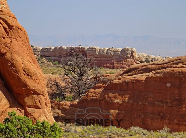 Arches National Park
Mots-clés: Amérique;Amérique du Nord;Etats-Unis;USA;Utah;Arches National Park;parc national