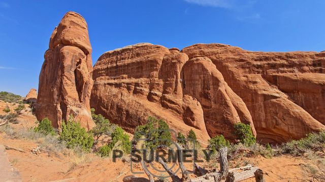 Arches National Park
Mots-clés: Amérique;Amérique du Nord;Etats-Unis;USA;Utah;Arches National Park;parc national