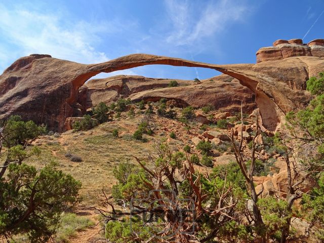 Arches National Park
Mots-clés: Amérique;Amérique du Nord;Etats-Unis;USA;Utah;Arches National Park;parc national