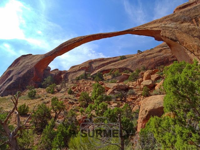 Arches National Park
Mots-clés: Amérique;Amérique du Nord;Etats-Unis;USA;Utah;Arches National Park;parc national