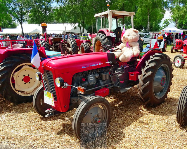 AutoRétro-0002
Massey-Ferguson 35
Mots-clés: Europe;Frane;Alsace;Hilsenheim;auto-rétro;véhicules