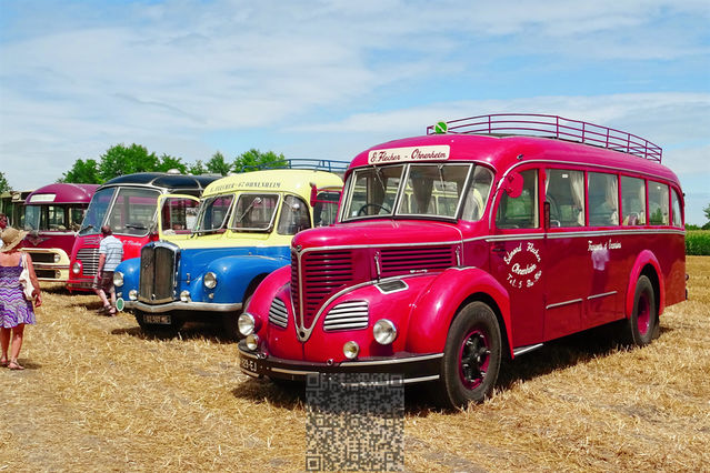 AutoRétro-0010
Autobus
Mots-clés: Europe;France;Alsace;Ohnenheim;auto-rétro