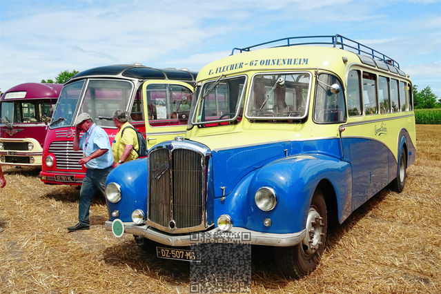 AutoRétro-0013
Saurer
Mots-clés: Europe;France;Alsace;Ohnenheim;auto-rétro