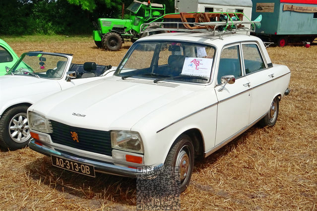 AutoRétro-0022
Peugeot 304
Mots-clés: Europe;France;Alsace;Ohnenheim;auto-rétro