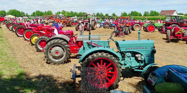 AutoRétro-0082
Tracteurs
Mots-clés: Europe;France;Alsace;Ohnenheim;auto-rétro