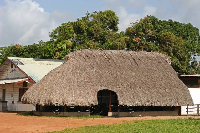 Carbet
Mots-clés: Guyane;Amrique;Awala-Yalimapo;amrindien