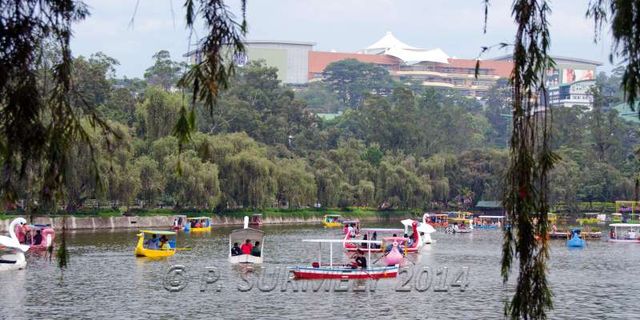 Baguio
Le lac du Parc Burnham
Mots-clés: Asie;Philippines;Luzon;Baguio