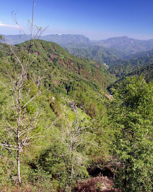 Baguio-Bontoc Road
Les montagnes
Mots-clés: Asie;Philippines;Luzon;Mountain Province