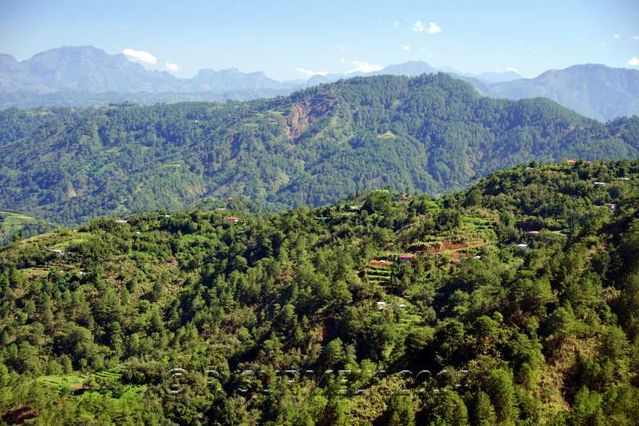 Baguio-Bontoc Road
Les montagnes
Mots-clés: Asie;Philippines;Luzon;Mountain Province