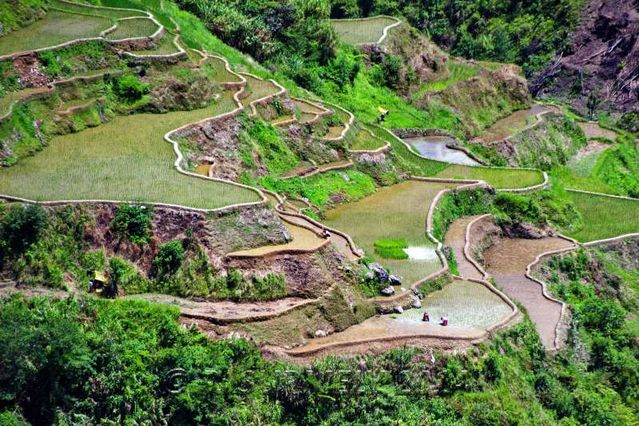 Banaue
Rizires en terrasse
Mots-clés: Asie;Philippines;Luzon;Banaue;rizire