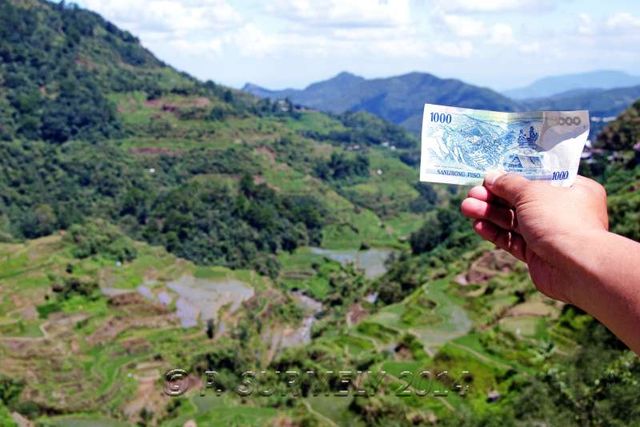 Banaue
Le paysage qui figure sur le billet de 1000 pesos
Mots-clés: Asie;Philippines;Luzon;Banaue