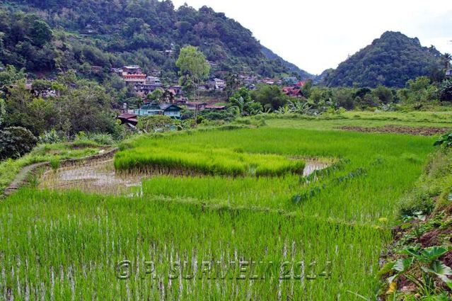 Banaue
Rizire
Mots-clés: Asie;Philippines;Luzon;Banaue;rizire