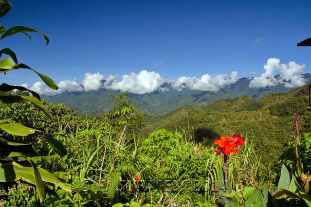Banaue
Paysage alentours
Mots-clés: Asie;Philippines;Luzon;Banaue