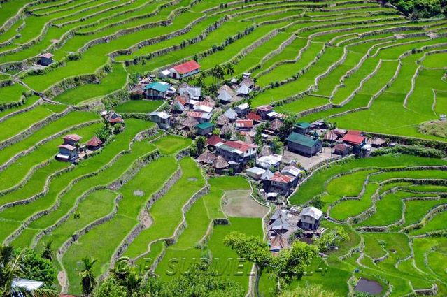 Batad
Le village au milieu des rizires
Mots-clés: Asie;Philippines;Luzon;Batad;rizire