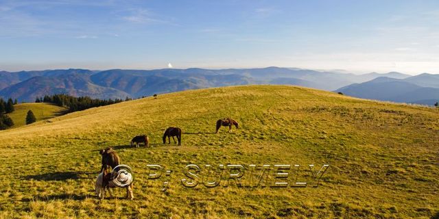 Au sommet du Belchen
Mots-clés: Europe;Allemagne;Bade-Wurtemberg;Foret-Noire;Belchen