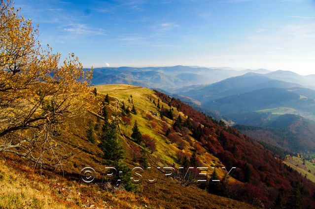 Au sommet du Belchen
Mots-clés: Europe;Allemagne;Bade-Wurtemberg;Foret-Noire;Belchen