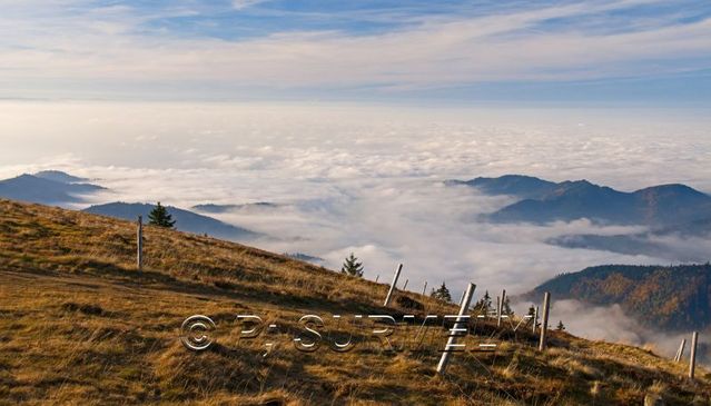 Brouillard dans la valle
Depuis le Belchen
Mots-clés: Europe;Allemagne;Bade-Wurtemberg;Foret-Noire;Belchen