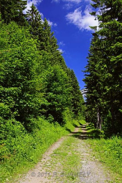 Belchen
Sur le chemin
Mots-clés: Europe;Allemagne;Bade-Wurtemberg;Foret-Noire;Belchen