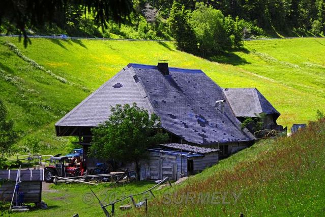 Belchen
Ferme de la Fort-Noire
Mots-clés: Europe;Allemagne;Bade-Wurtemberg;Foret-Noire;Belchen