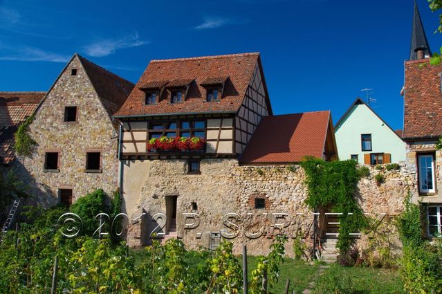 Vire  Bergheim
Mots-clés: Europe;France;Alsace;Bergheim