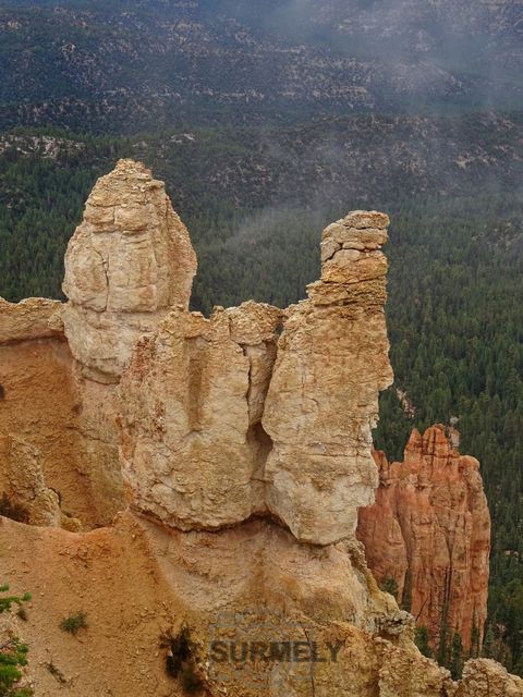 Bryce Canyon National Park
Mots-clés: Amérique;Amérique du Nord;Etats-Unis;USA;Utah;Bryce Canyon National Park;parc national