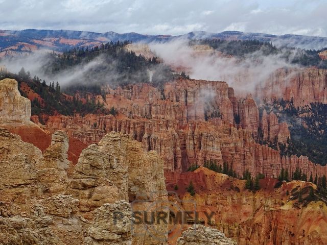 Bryce Canyon National Park
Mots-clés: Amérique;Amérique du Nord;Etats-Unis;USA;Utah;Bryce Canyon National Park;parc national