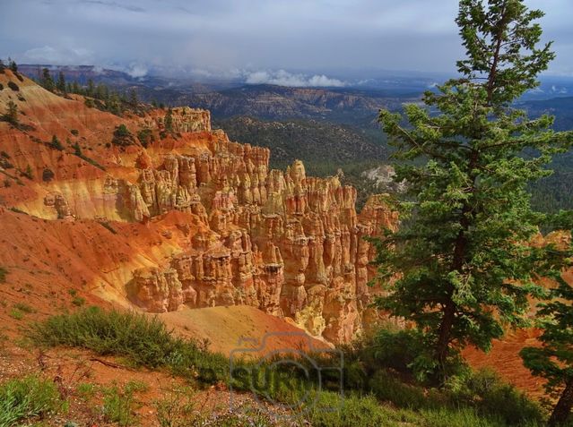 Bryce Canyon National Park
Mots-clés: Amérique;Amérique du Nord;Etats-Unis;USA;Utah;Bryce Canyon National Park;parc national