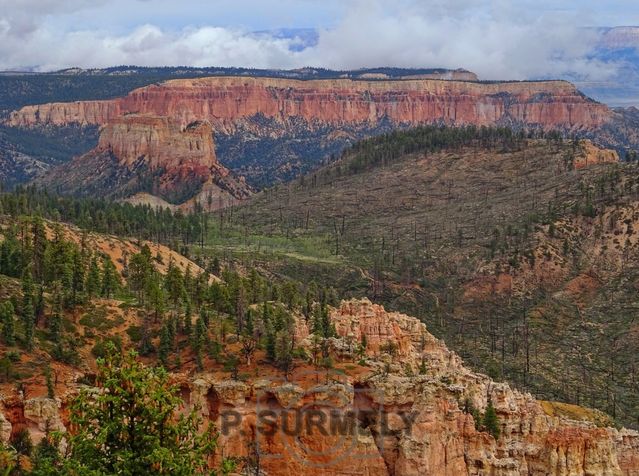 Bryce Canyon National Park
Mots-clés: Amérique;Amérique du Nord;Etats-Unis;USA;Utah;Bryce Canyon National Park;parc national