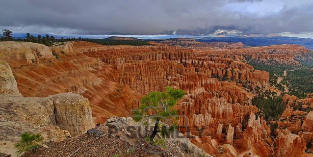 Bryce Canyon National Park
Mots-clés: Amérique;Amérique du Nord;Etats-Unis;USA;Utah;Bryce Canyon National Park;parc national