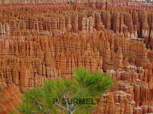 Bryce Canyon National Park
Mots-clés: Amérique;Amérique du Nord;Etats-Unis;USA;Utah;Bryce Canyon National Park;parc national