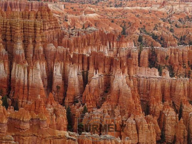 Bryce Canyon National Park
Mots-clés: Amérique;Amérique du Nord;Etats-Unis;USA;Utah;Bryce Canyon National Park;parc national