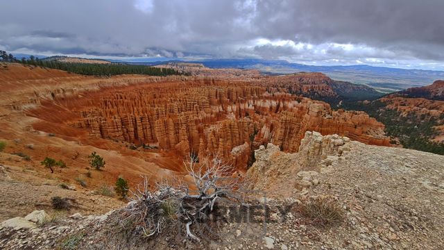 Bryce Canyon National Park
Mots-clés: Amérique;Amérique du Nord;Etats-Unis;USA;Utah;Bryce Canyon National Park;parc national