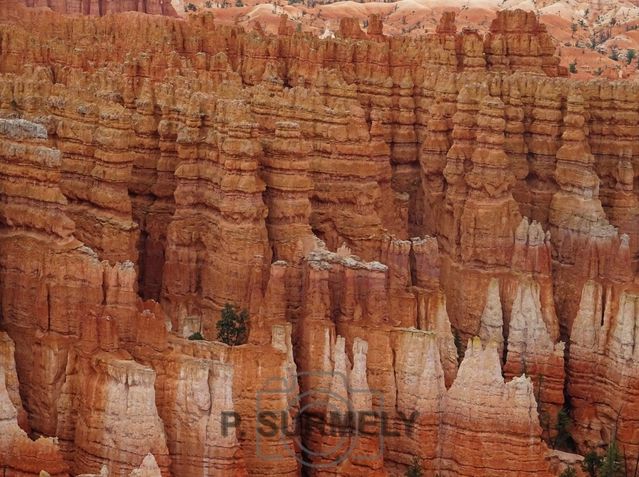 Bryce Canyon National Park
Mots-clés: Amérique;Amérique du Nord;Etats-Unis;USA;Utah;Bryce Canyon National Park;parc national