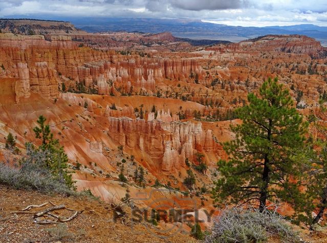 Bryce Canyon National Park
Mots-clés: Amérique;Amérique du Nord;Etats-Unis;USA;Utah;Bryce Canyon National Park;parc national