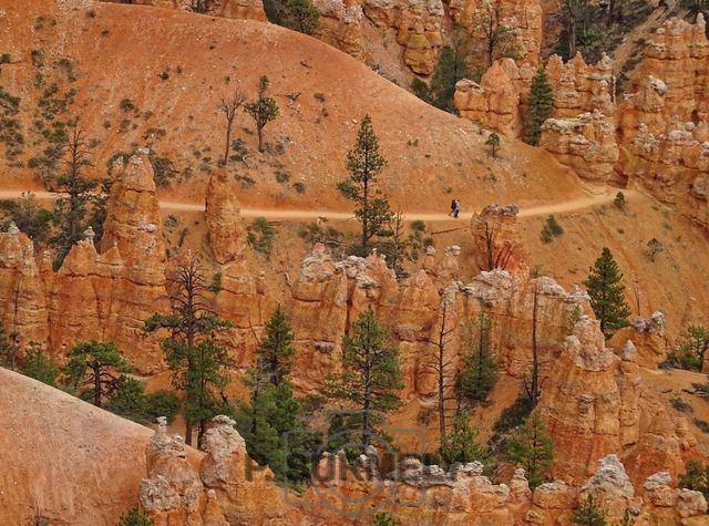 Bryce Canyon National Park
Mots-clés: Amérique;Amérique du Nord;Etats-Unis;USA;Utah;Bryce Canyon National Park;parc national