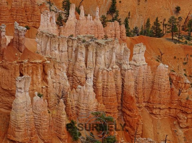 Bryce Canyon National Park
Mots-clés: Amérique;Amérique du Nord;Etats-Unis;USA;Utah;Bryce Canyon National Park;parc national