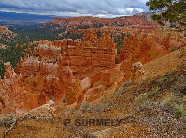 Bryce Canyon National Park
Mots-clés: Amérique;Amérique du Nord;Etats-Unis;USA;Utah;Bryce Canyon National Park;parc national