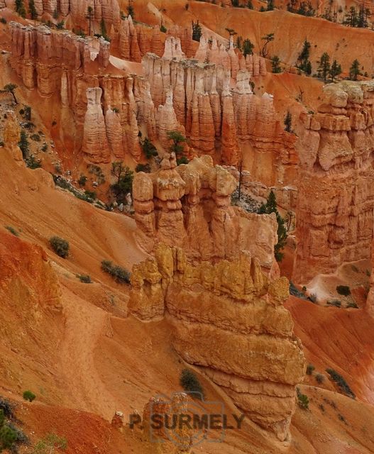 Bryce Canyon National Park
Mots-clés: Amérique;Amérique du Nord;Etats-Unis;USA;Utah;Bryce Canyon National Park;parc national