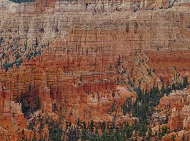 Bryce Canyon National Park
Mots-clés: Amérique;Amérique du Nord;Etats-Unis;USA;Utah;Bryce Canyon National Park;parc national