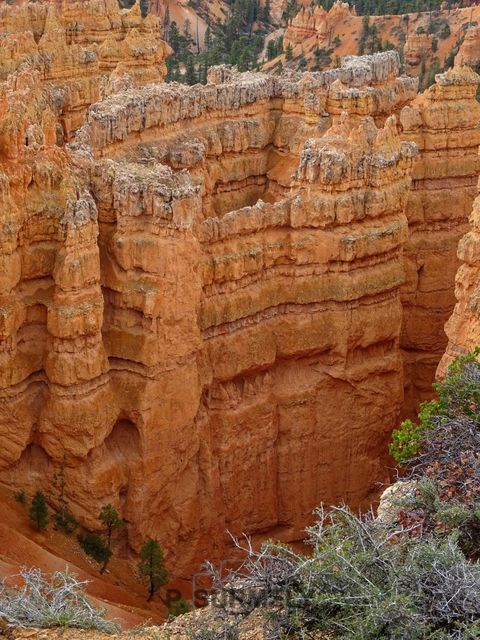 Bryce Canyon National Park
Mots-clés: Amérique;Amérique du Nord;Etats-Unis;USA;Utah;Bryce Canyon National Park;parc national