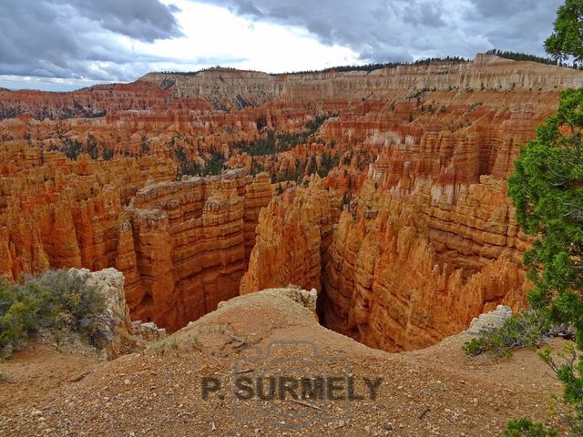 Bryce Canyon National Park
Mots-clés: Amérique;Amérique du Nord;Etats-Unis;USA;Utah;Bryce Canyon National Park;parc national