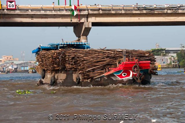 Transport de bois
Mots-clés: Asie;Vietnam;Cantho;Mkong