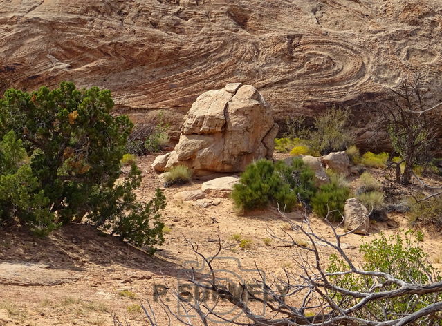 Canyonland National Park
Mots-clés: Amérique;Amérique du Nord;Etats-Unis;USA;Utah;Canyonland National Park;parc national