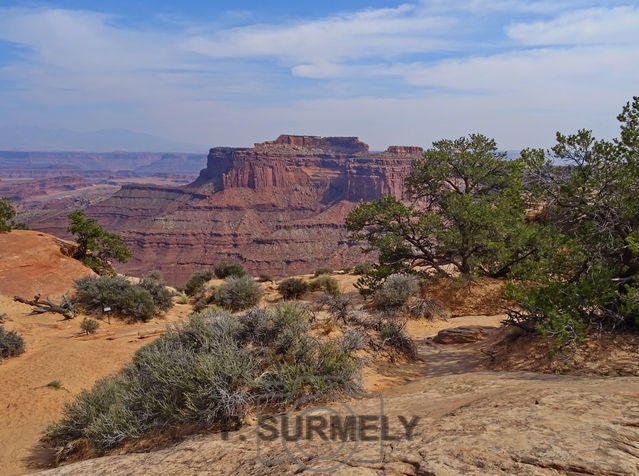 Canyonland National Park
Mots-clés: Amérique;Amérique du Nord;Etats-Unis;USA;Utah;Canyonland National Park;parc national