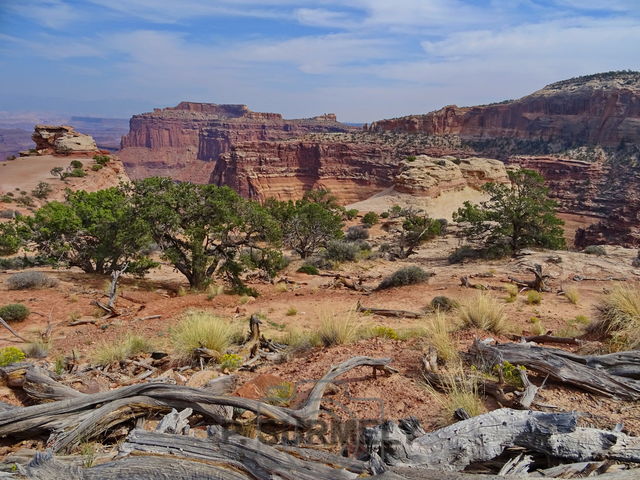 Canyonland National Park
Mots-clés: Amérique;Amérique du Nord;Etats-Unis;USA;Utah;Canyonland National Park;parc national