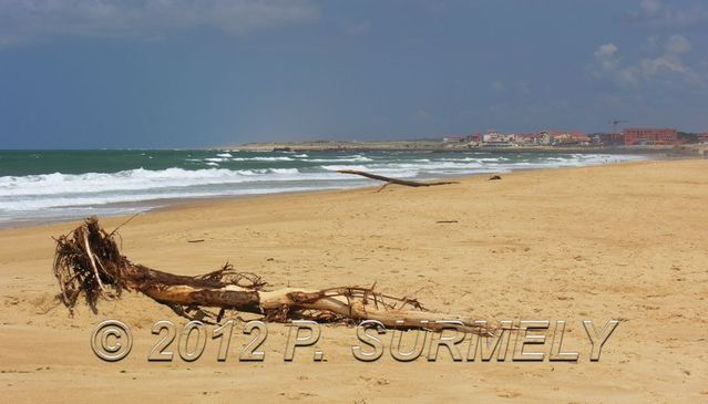 Cap Breton
          
Mots-clés: Europe;France;Pays Basque;Cap Breton