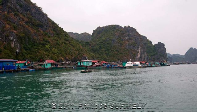 Village de pcheurs
Mots-clés: Asie;Vietnam;Halong;Catba